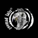 Zoomad Labs لوگو