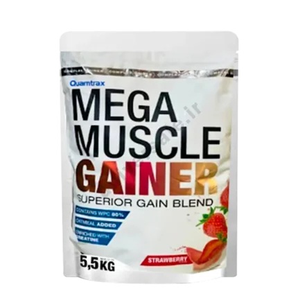 گینر مگا ماسل کوامترکس