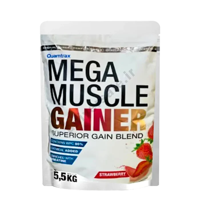 گینر مگا ماسل کوامترکس