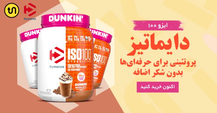 ایزوی وی دایماتیز