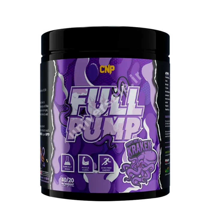 cnp01-s0dcv23d12d15d4gvb پمپ فول سی ان پی